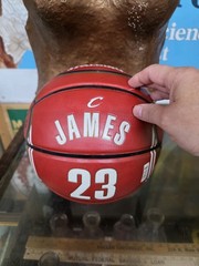 Spalding NBA Cleveland Cavaliers Lebron James Arena Exclusive Jersey Basketball