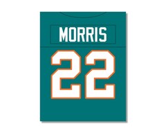 compare to MERCURY MORRIS Football Photo Picture / 8×10 11×14 or 16×20 (JZ)