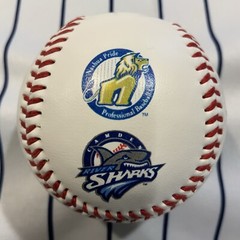 Atlantic League ALPB TEAM LOGOS DEFUNCT Souvenir baseball collectible ball V2