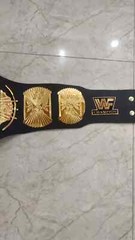 Winged Eagle Championship Wrestling Replica Title Belt Brass 2mm Adult size
