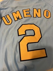 NEW MIZUNO Japan NPB HANSHIN TIGERS Baseball Jersey Sky Blue #2 Umeno XL