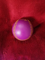 Yahoo! Sports Promotional Purple Souvenir Collectible Baseball NEW