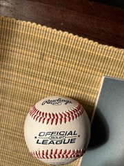 2023 MLB All-Star Game Official Program and Fan Fest Rawlings All-Star Game Ball