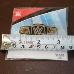 WWE Championship Belt Slam Crate/Loot Crate Exclusive Pin NIP (New in Package)