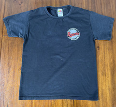 Nashville Sounds Fruit Of The Loom Sunburst MILB 2004 Shirt Size Small