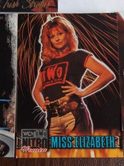 WWE Stephanie McMahon, Miss Elizabeth Lita, Stacy, Brooks Trading Card LOT Of 12