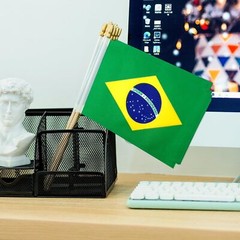 TSMD Brazil Stick Flag Brazilian Small Mini Hand Held Flags,5×8