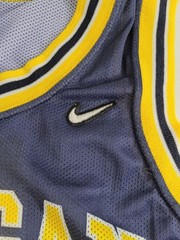 Vintage Nike 90&rsquo;S Jalen Rose Michigan Wolverines Jersey Fab Five Large