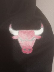 Chicago Bulls Hardwood Classics Men’s Large L Shorts Mitchell Ness NBA Swingman