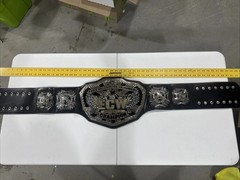 * ULTRA RARE* WWE ECW 2008 Official Adult Replica 3D Championship Figures Inc