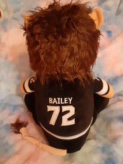 NHL Los Angeles Kings BAILEY 16&Prime; Plush Mascot #72