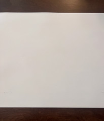 Errict Rhett Bucs Autographed Lithographed Rare Poster #291 of 300 19×24 Inches