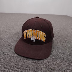 Wyoming Cowboys Hat Cap Strap Back Mens One Size Brown NCAA Football Captivating