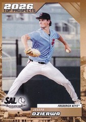 2026 Choice South Atlantic League (SAL) Top Prospects – Pick Your Player