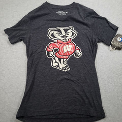 Wisconsin Badgers Colosseum Athletics Tshirt Mens Small Dark Gray Black